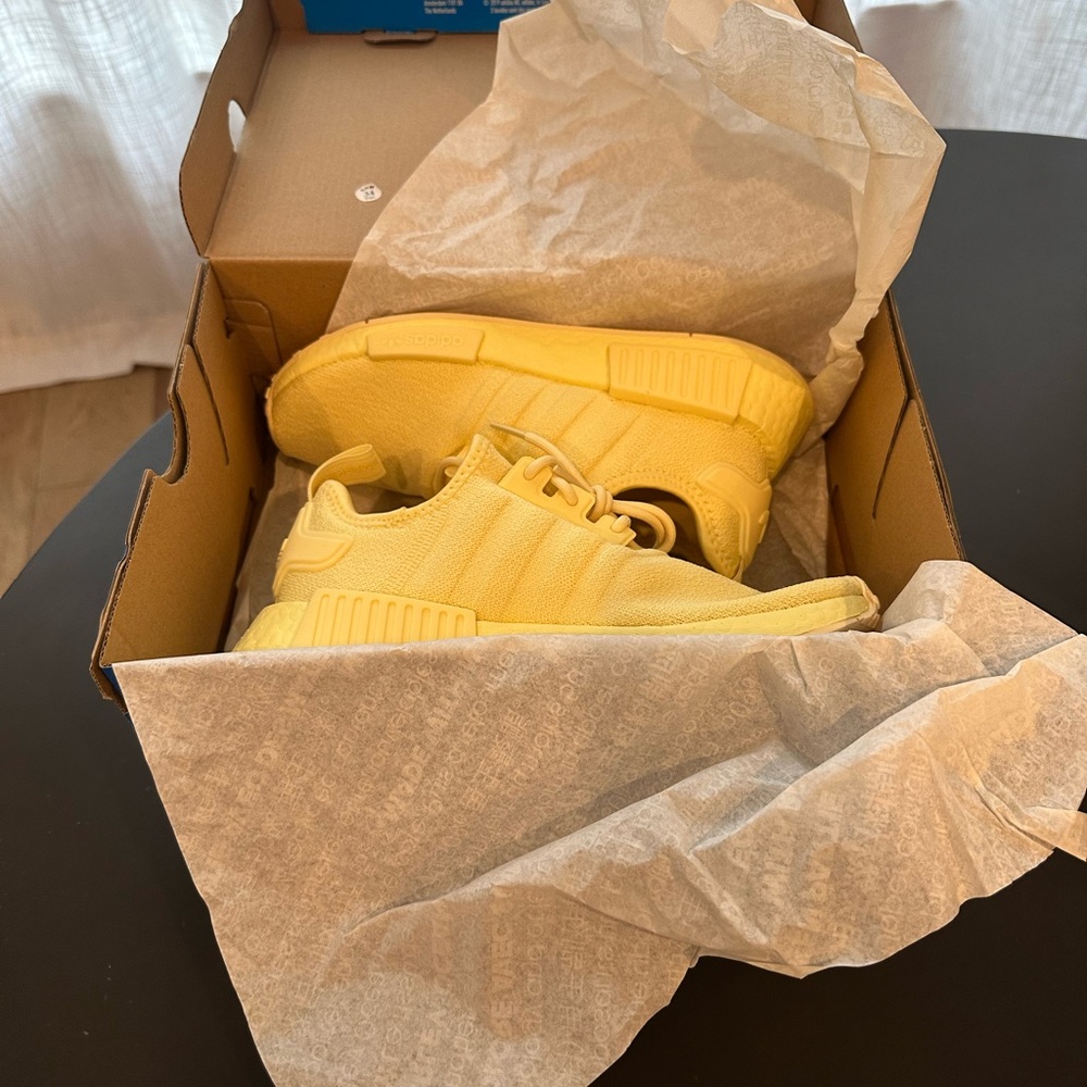 Adidas Blue Shoe Box